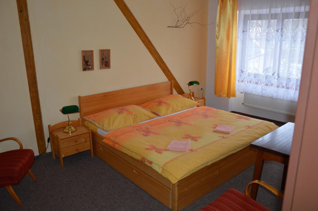 Penzion Oliver Žacléř Oda fotoğraf